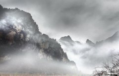 企業網站設計費用